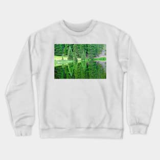 Lake Irene 12-1 Crewneck Sweatshirt